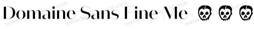 Domaine Sans Fine Me字体转换